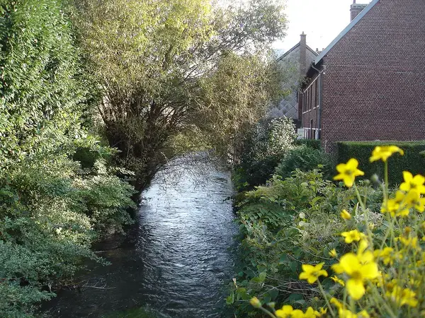 Isolation Thermique Extérieure Pro Isolation thermique extérieure Déville-lès-Rouen