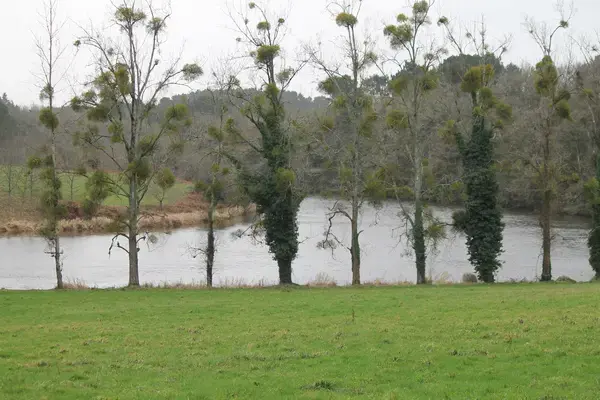 Isolation Thermique Extérieure Pro Isolation thermique extérieure Muzillac